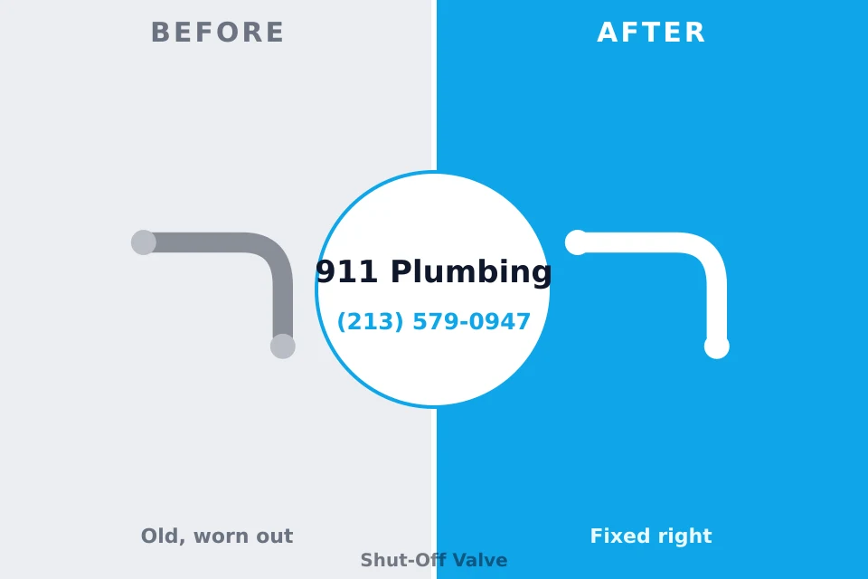 Before and after: plumbing repair Feather Sound, FL